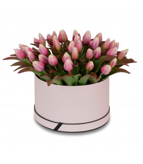 Box ozdobny duży tulipany