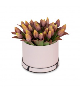 Box ozdobny średni tulipany
