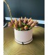 Box ozdobny średni tulipany