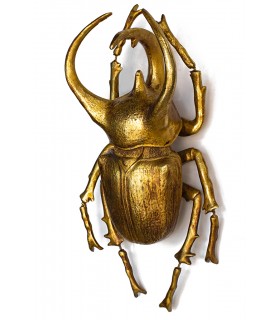 KARE dekoracja ścienna ATLAS BEETLE złota