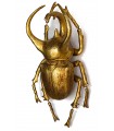 KARE dekoracja ścienna ATLAS BEETLE złota