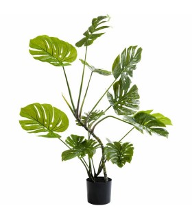 KARE roślina dekoracyjna MONSTERA 110 cm