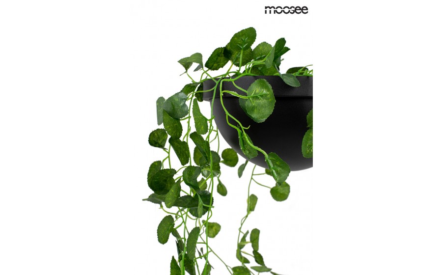 MOOSEE lampa ścienna PLANT WALL czarna