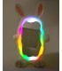 Lustro stojące BUNNY z oświetleniem LED  240x150 cm