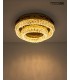 MOOSEE lampa sufitowa / plafon SAVOY 2  złota