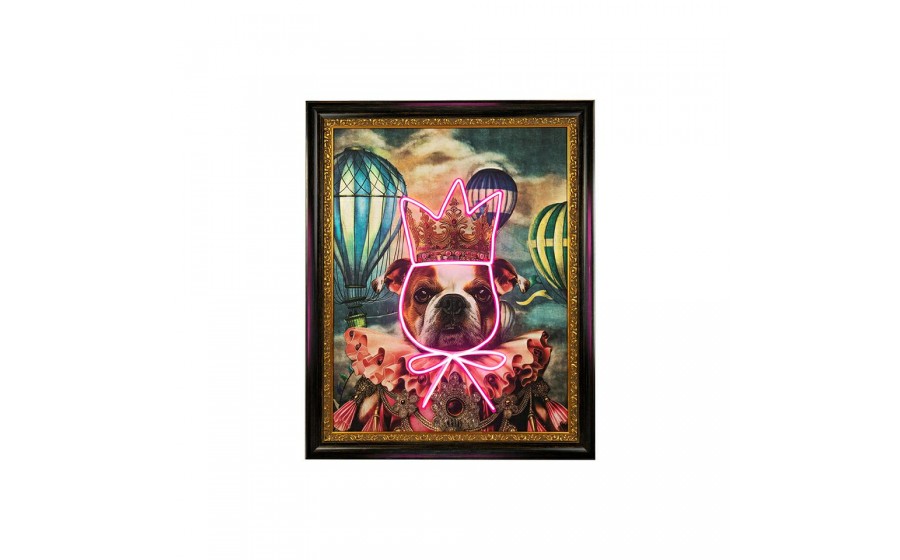 Expo Obraz NEON BULLDOG BALOON 80x100 cm