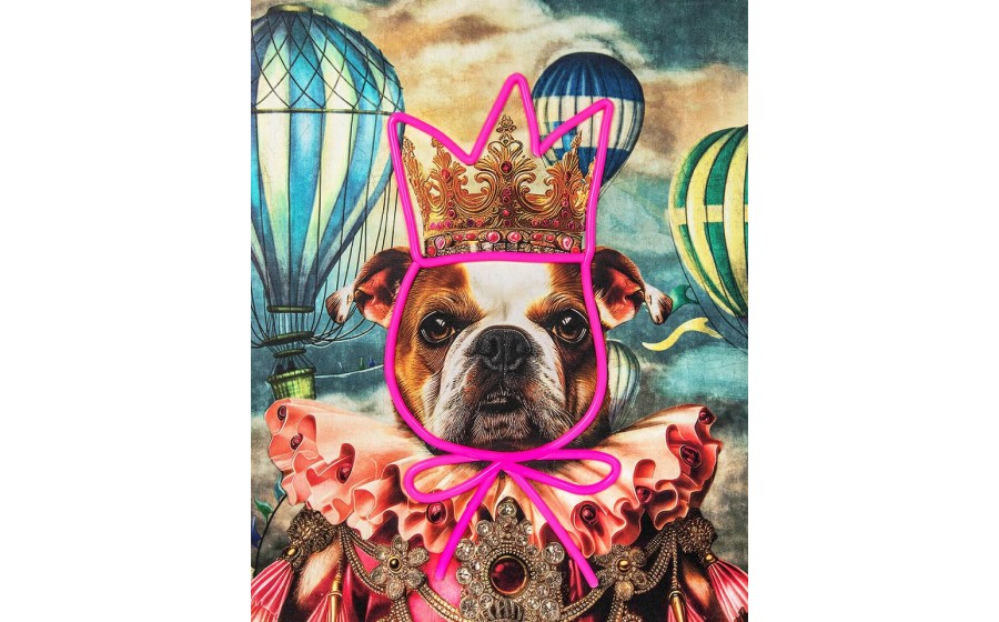 Expo Obraz NEON BULLDOG BALOON 80x100 cm