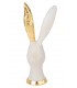 Expo KARE figurka dekoracyjna BUNNY GOLD