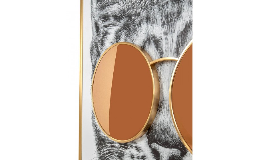 Expo Obraz KING CAT 118x130 cm