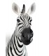 Expo KARE dekoracja ścienna ZEBRA