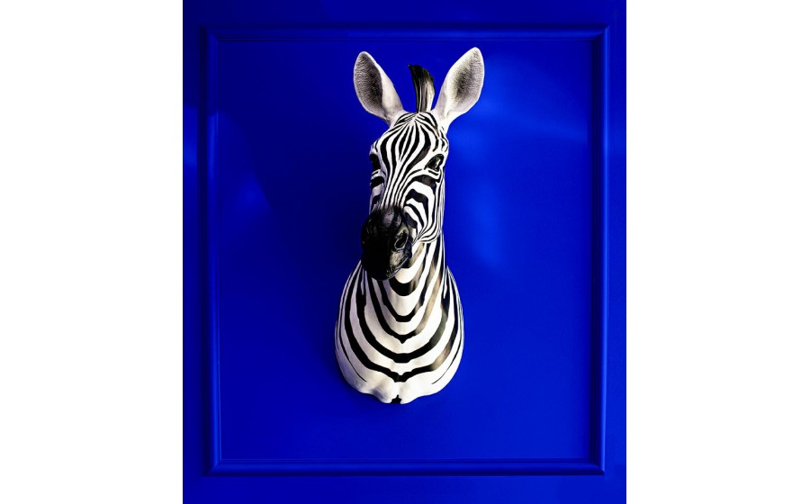 Expo KARE dekoracja ścienna ZEBRA