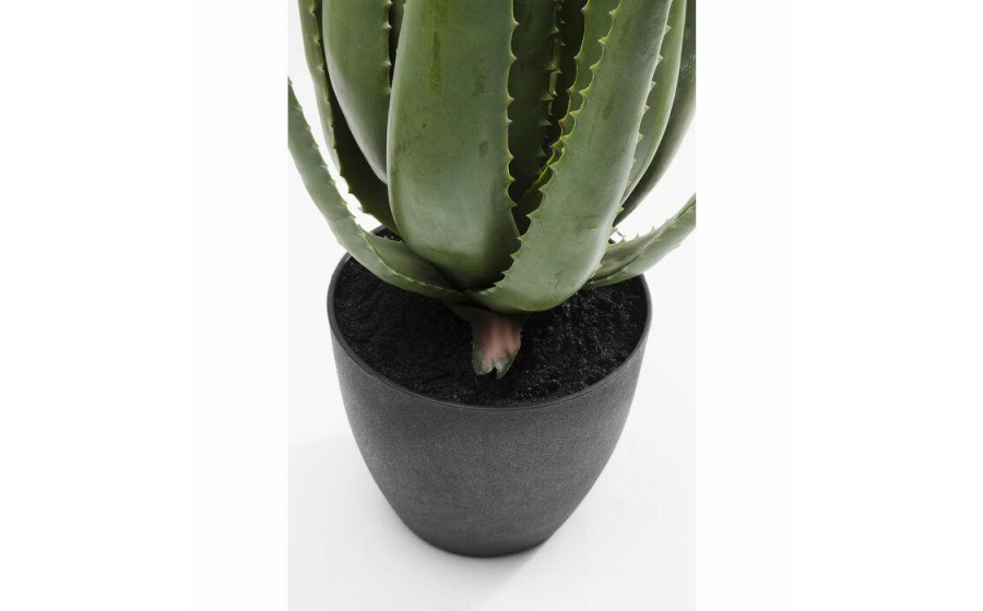 Expo KARE roślina dekoracyjna ALOE 69 cm