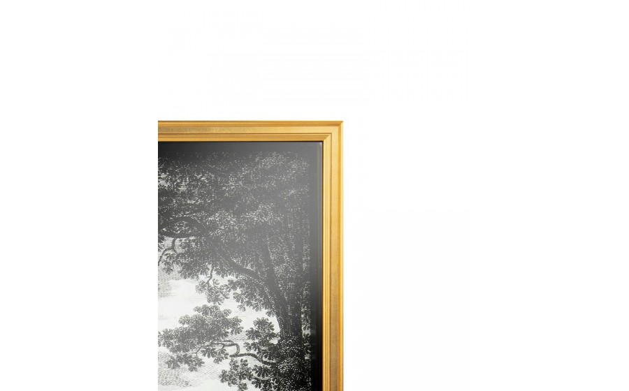 Expo Obraz HEAD OF STATE 2 50x60 cm