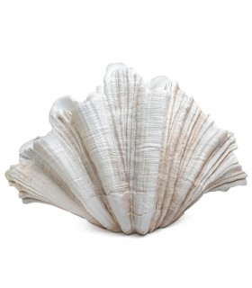 Expo KARE wazon dekoracyjny CONCHA 57 cm