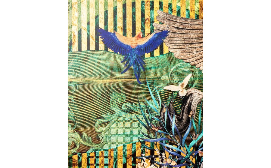Expo Obraz PEGASUS PARADISE 266x148 cm