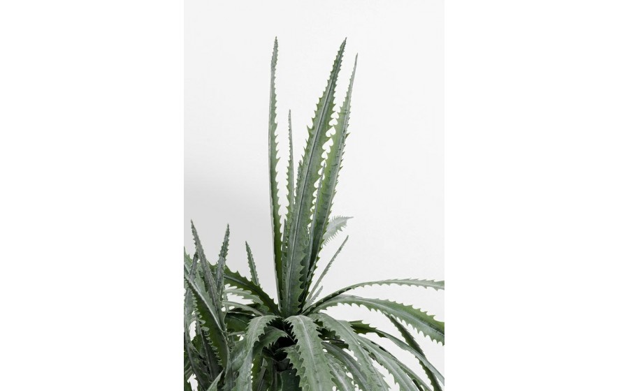 KARE roślina dekoracyjna DRAGON TREE 155 cm