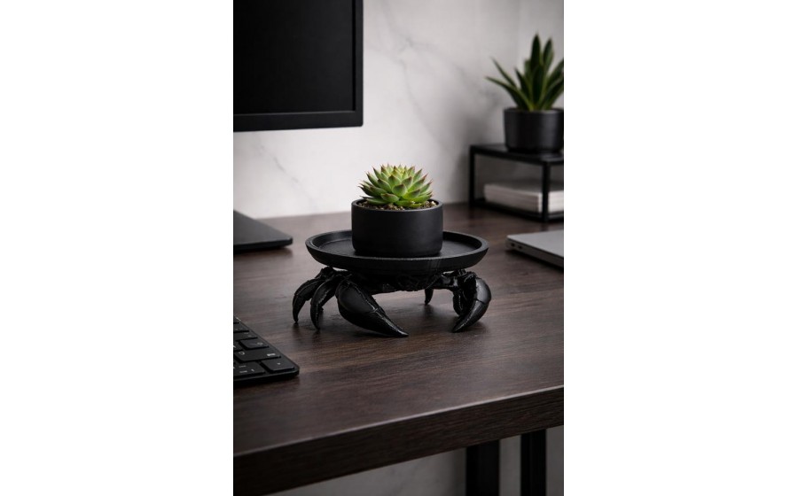 Taca SHP CRAB czarna