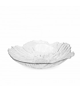 Patera na owoce SHP FRESH transparentna