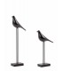 Zestaw 2 dekoracji SHP BIRDY czarna