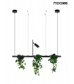 MOOSEE lampa wisząca PLANT LINE czarna