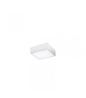 AZZARDO lampa sufitowa / plafon MONZA II  S 17 SMART 3000K biała